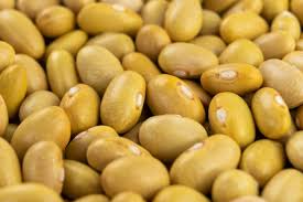 YELLOW BEAN