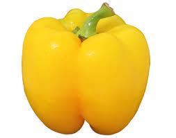 CAPSICUM- YELLOW