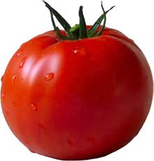 TOMATO