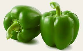 GREEN CAPSICUM