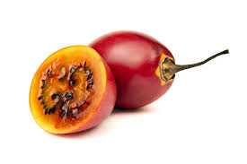 TREE TOMATO