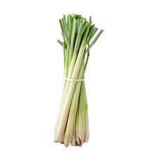 LEMON GRASS